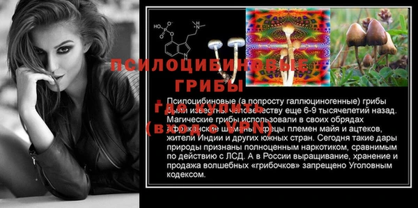 шишки Баксан