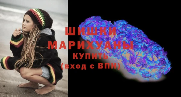 шишки Баксан